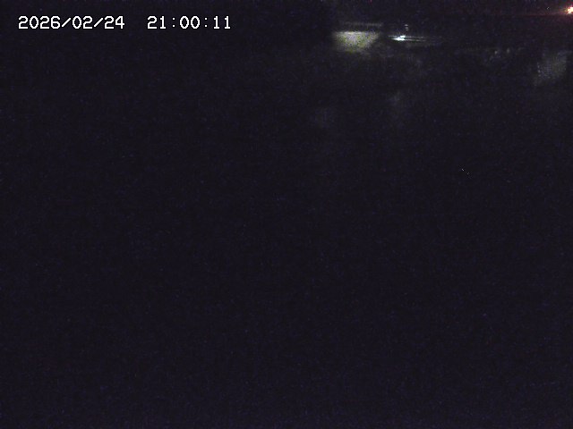 野上川１2026/02/25 4:20:00