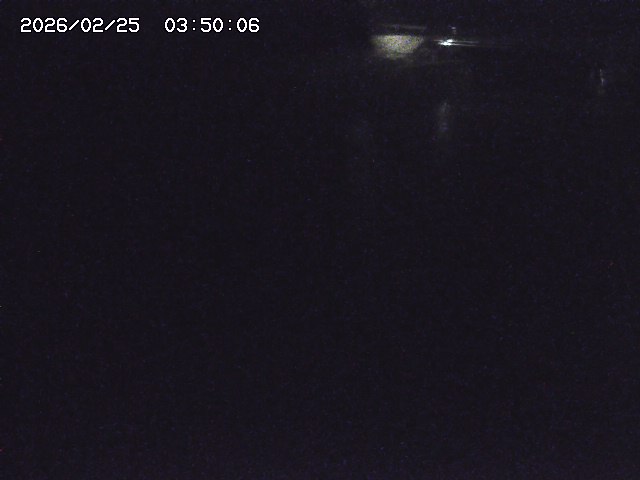 野上川１2026/02/25 4:20:00