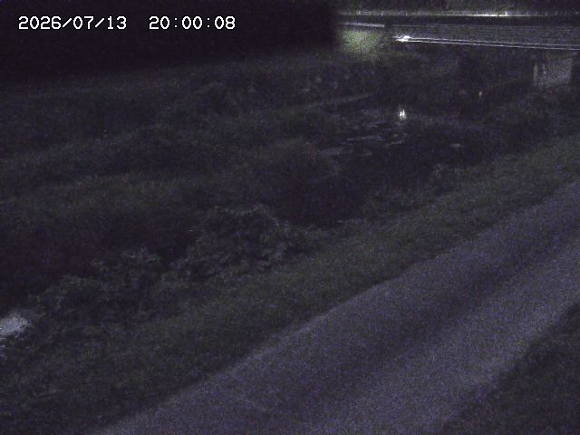 野上川１2026/07/14 15:20:00