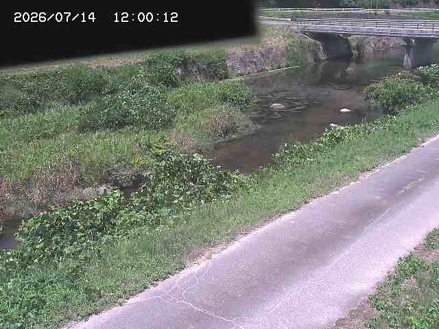 野上川１2026/07/14 15:20:00
