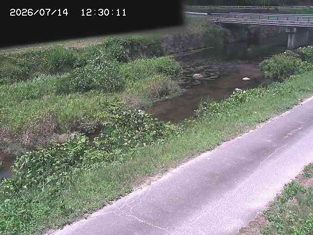 野上川１2026/07/14 15:20:00