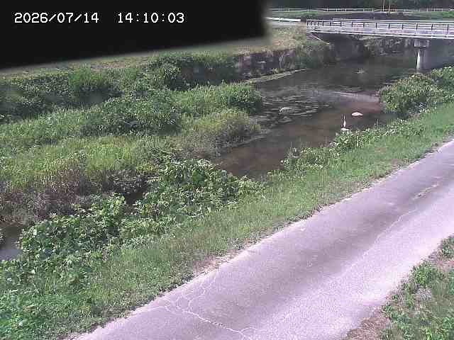 野上川１2026/07/14 15:20:00