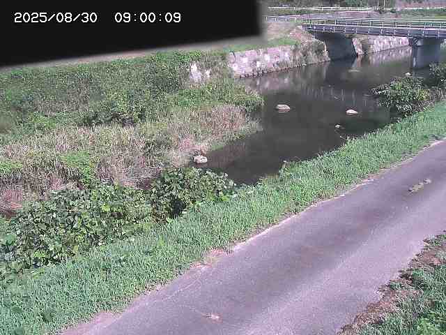 野上川１2025/08/31 9:10:00