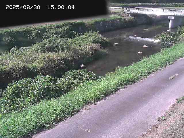 野上川１2025/08/31 9:10:00