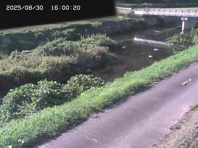 野上川１2025/08/31 9:10:00