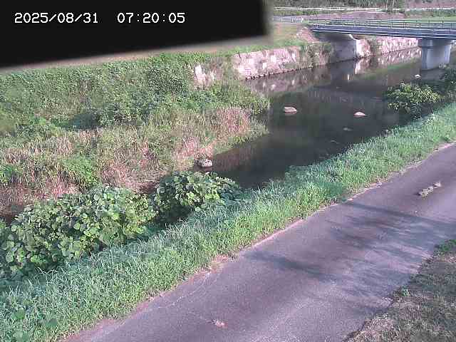 野上川１2025/08/31 9:10:00