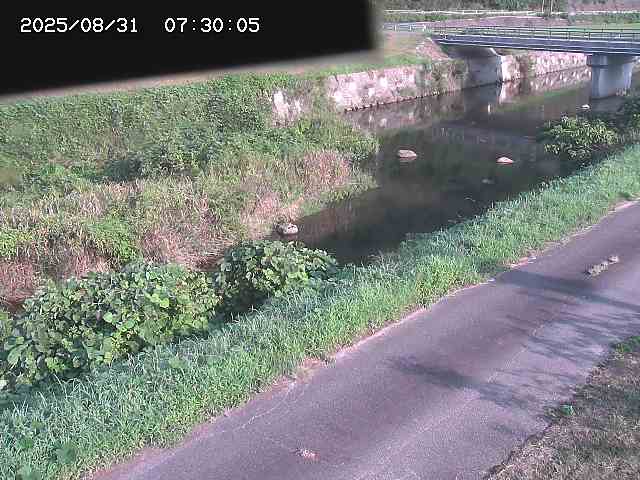 野上川１2025/08/31 9:10:00