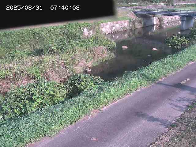 野上川１2025/08/31 9:10:00