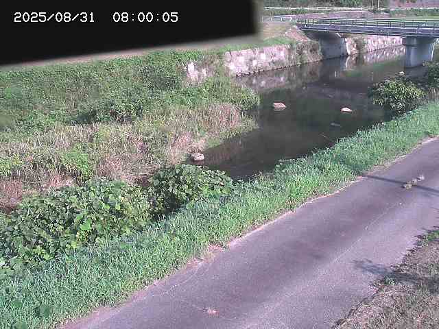 野上川１2025/08/31 9:10:00