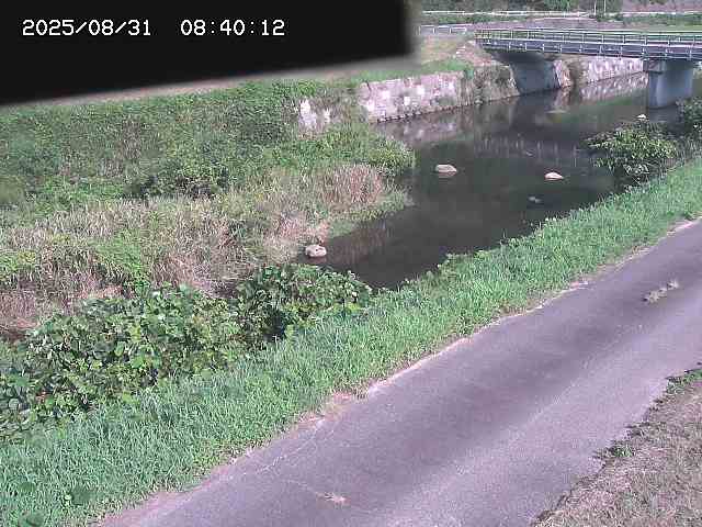 野上川１2025/08/31 9:10:00