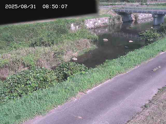 野上川１2025/08/31 9:10:00