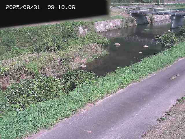野上川１2025/08/31 9:10:00