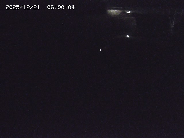 野上川１2025/12/22 1:00:00