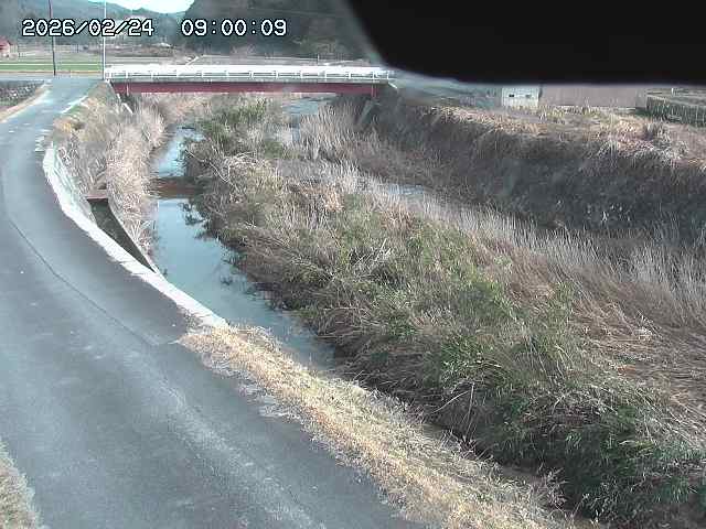 野上川３2026/02/25 2:40:00