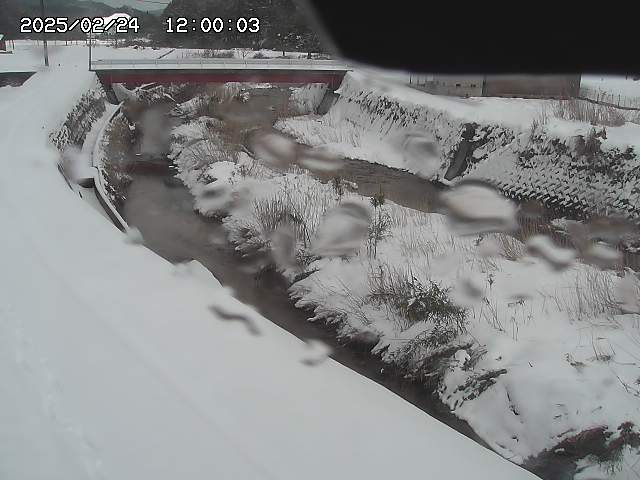 野上川３2026/02/25 2:40:00