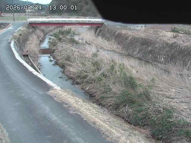 野上川３2026/02/25 2:40:00