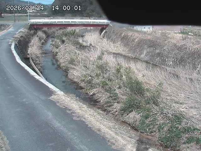 野上川３2026/02/25 2:40:00