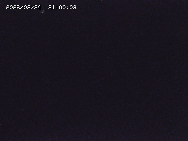 野上川３2026/02/25 2:40:00
