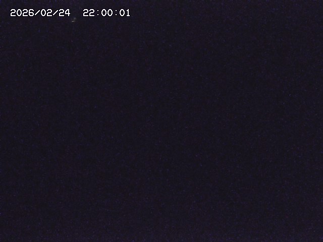 野上川３2026/02/25 2:40:00