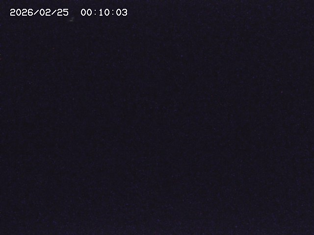 野上川３2026/02/25 2:40:00