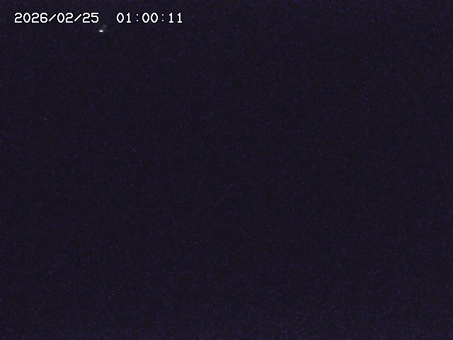 野上川３2026/02/25 2:40:00