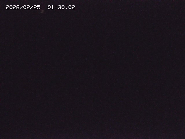 野上川３2026/02/25 2:40:00