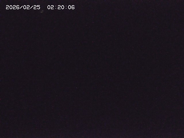 野上川３2026/02/25 2:40:00