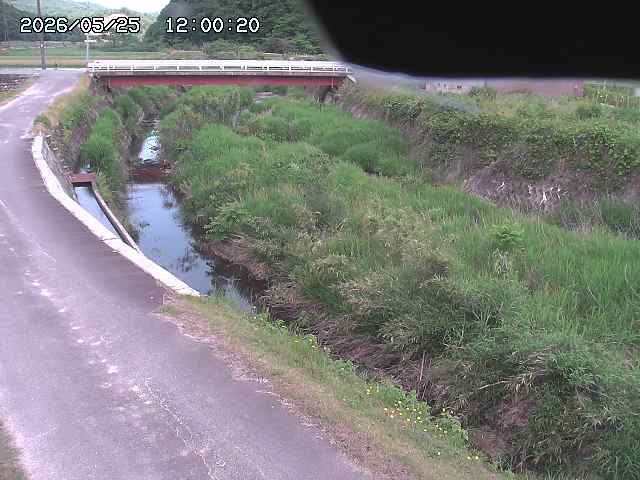 野上川３2026/05/25 21:30:00