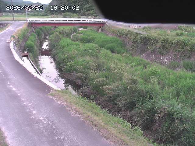 野上川３2026/05/25 21:30:00