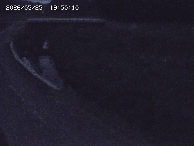 野上川３2026/05/25 21:30:00