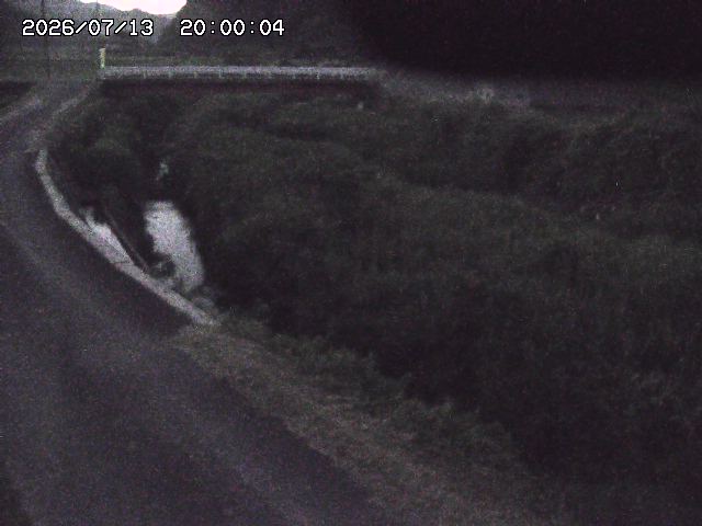 野上川３2026/07/14 15:20:00