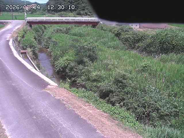 野上川３2026/07/14 15:20:00
