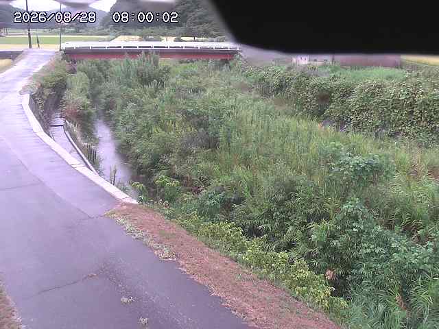 野上川３2026/08/28 17:00:00