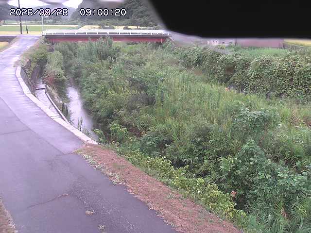 野上川３2026/08/28 17:00:00