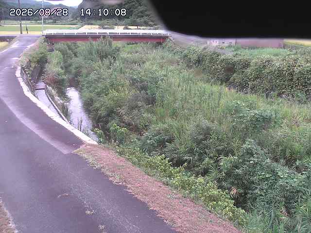 野上川３2026/08/28 17:00:00