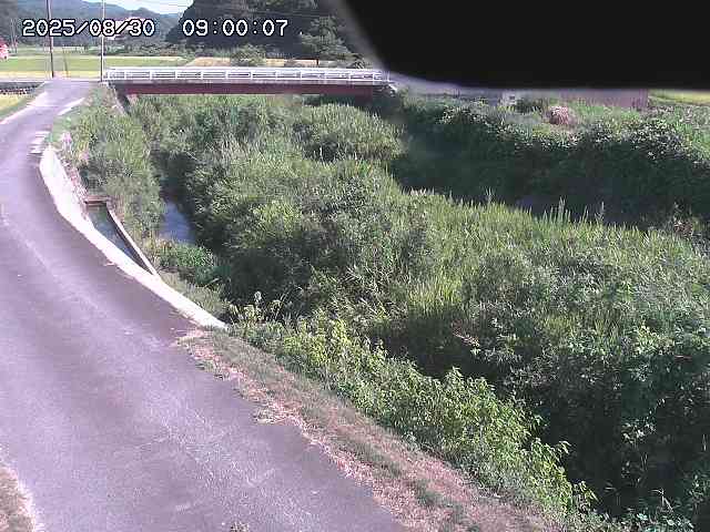 野上川３2025/08/31 9:10:00