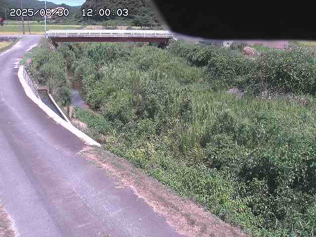 野上川３2025/08/31 9:10:00
