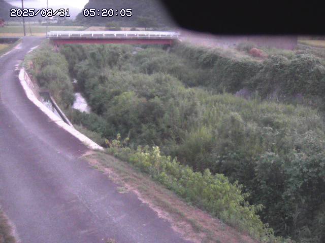野上川３2025/08/31 9:10:00