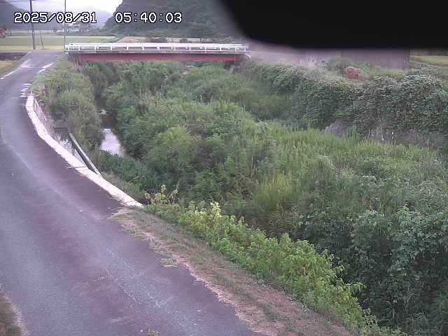 野上川３2025/08/31 9:10:00