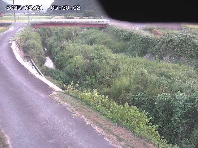 野上川３2025/08/31 9:10:00