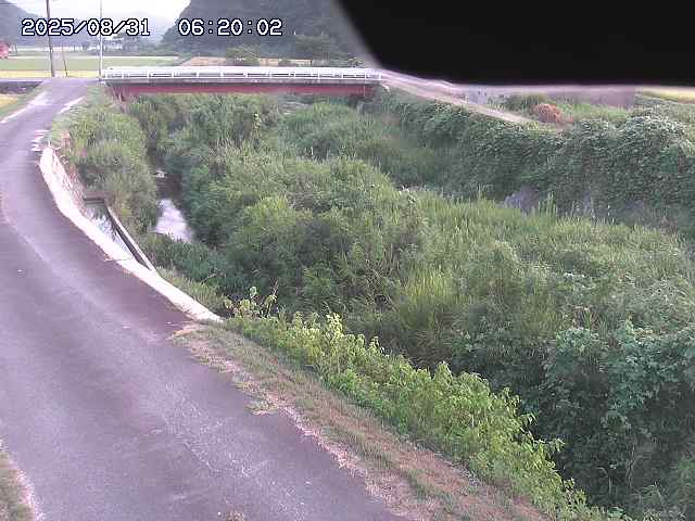 野上川３2025/08/31 9:10:00