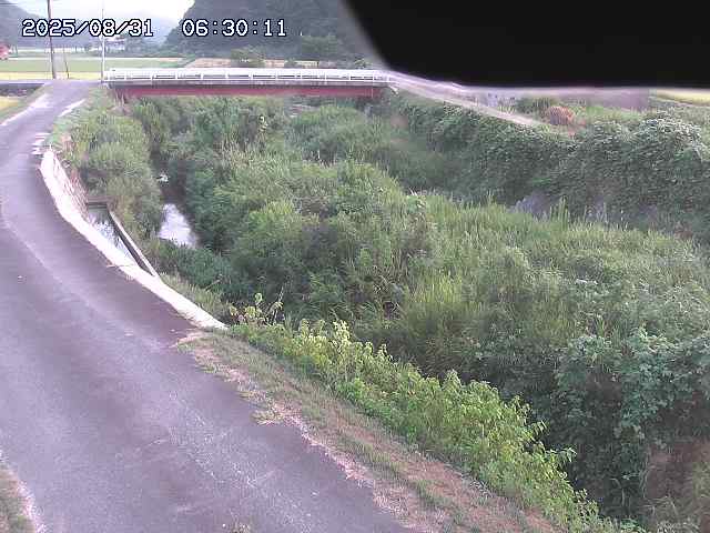 野上川３2025/08/31 9:10:00