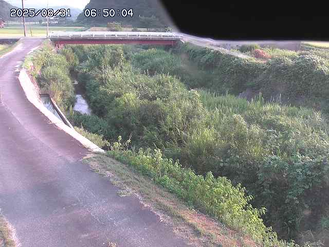 野上川３2025/08/31 9:10:00