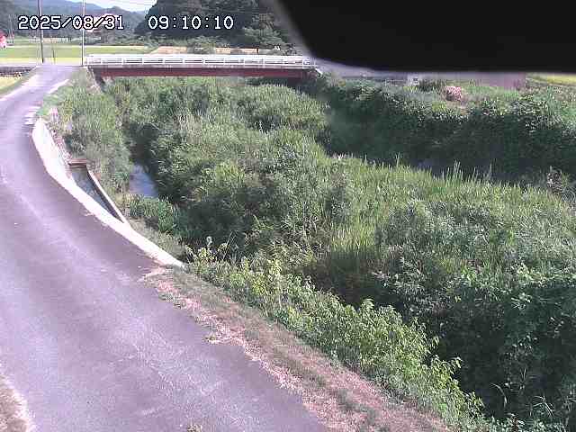 野上川３2025/08/31 9:10:00