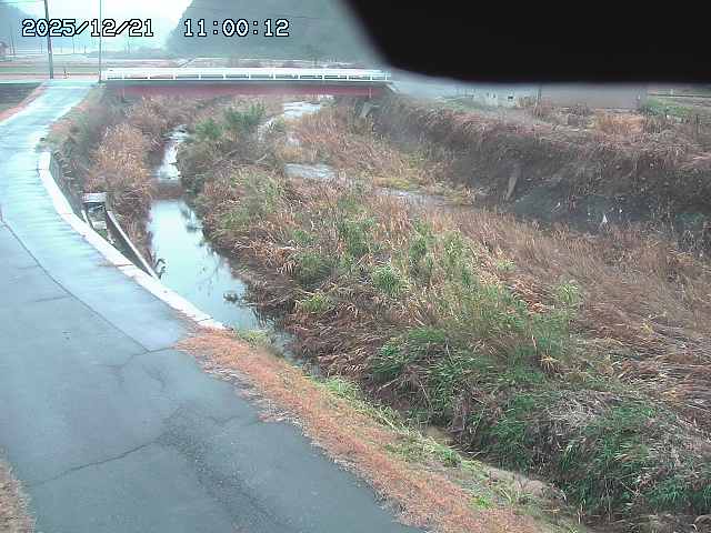 野上川３2025/12/22 1:00:00