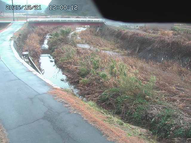 野上川３2025/12/22 1:00:00