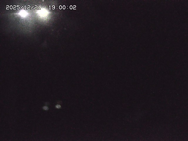 野上川３2025/12/22 1:00:00