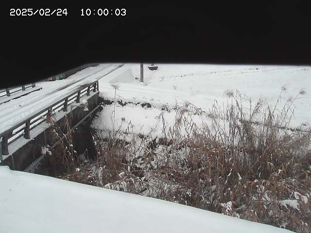 北方川１2026/02/25 2:40:00