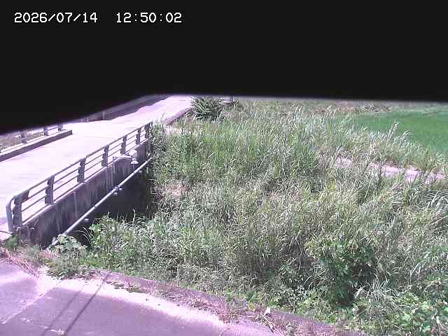 北方川１2026/07/14 15:20:00