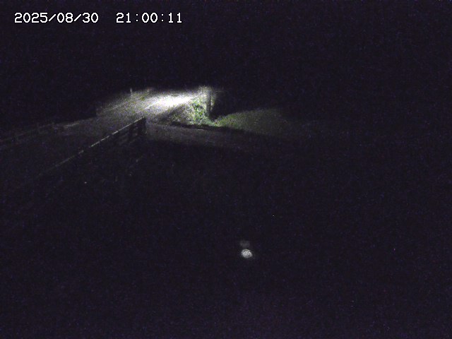 北方川１2025/08/31 9:10:00